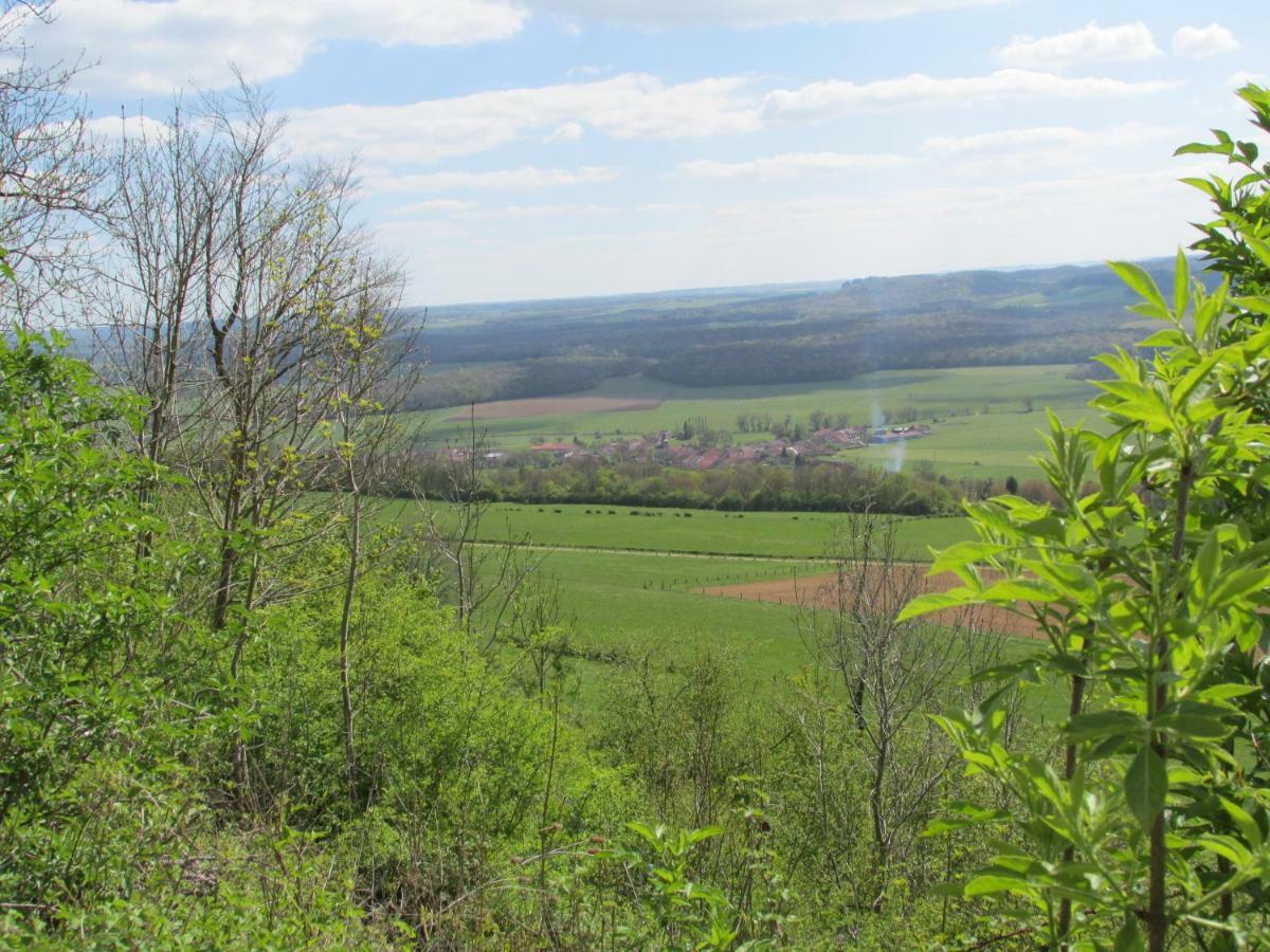 Bed & Breakfast La Taniere Douce Soulaucourt-sur-Mouzon